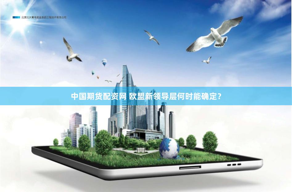 中国期货配资网 欧盟新领导层何时能确定？