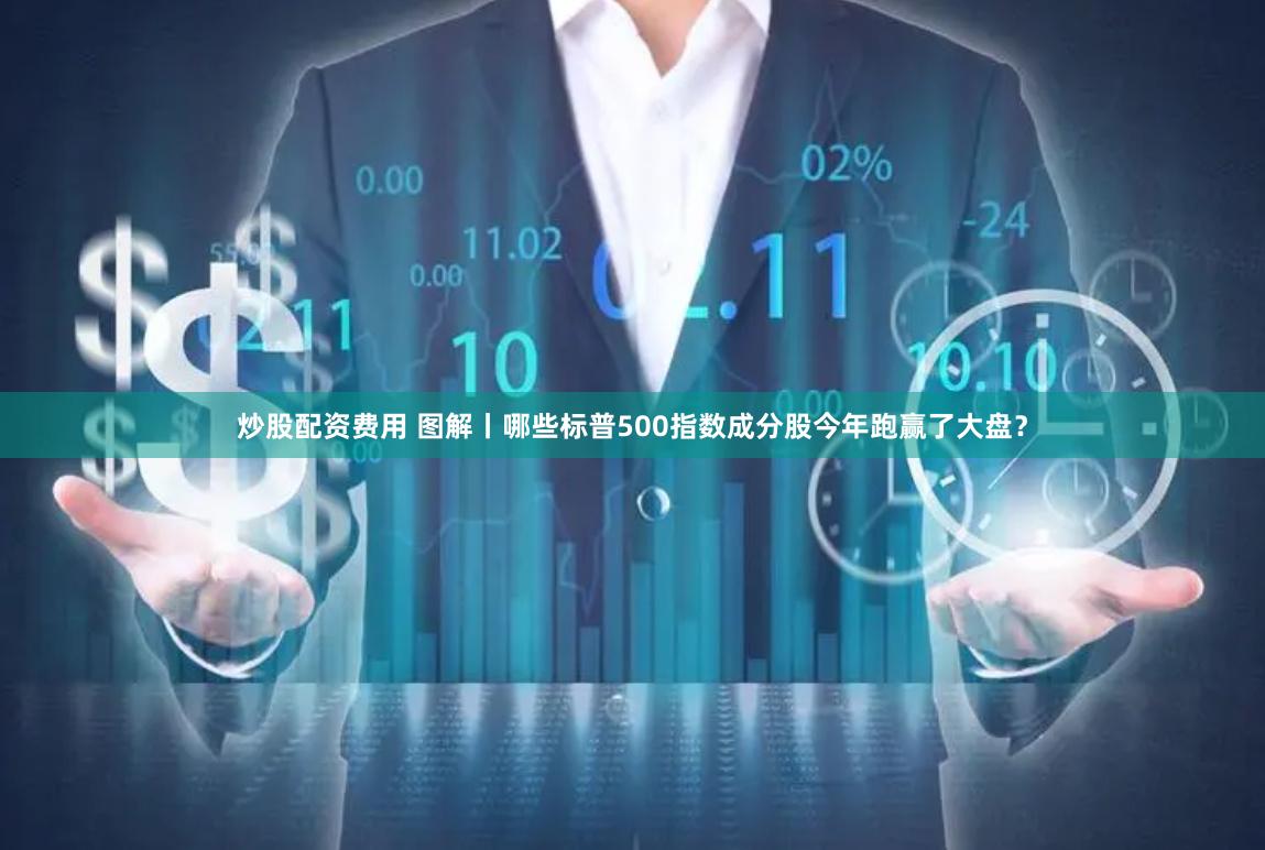炒股配资费用 图解丨哪些标普500指数成分股今年跑赢了大盘？