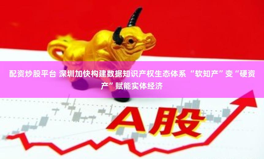 配资炒股平台 深圳加快构建数据知识产权生态体系 “软知产”变“硬资产”赋能实体经济