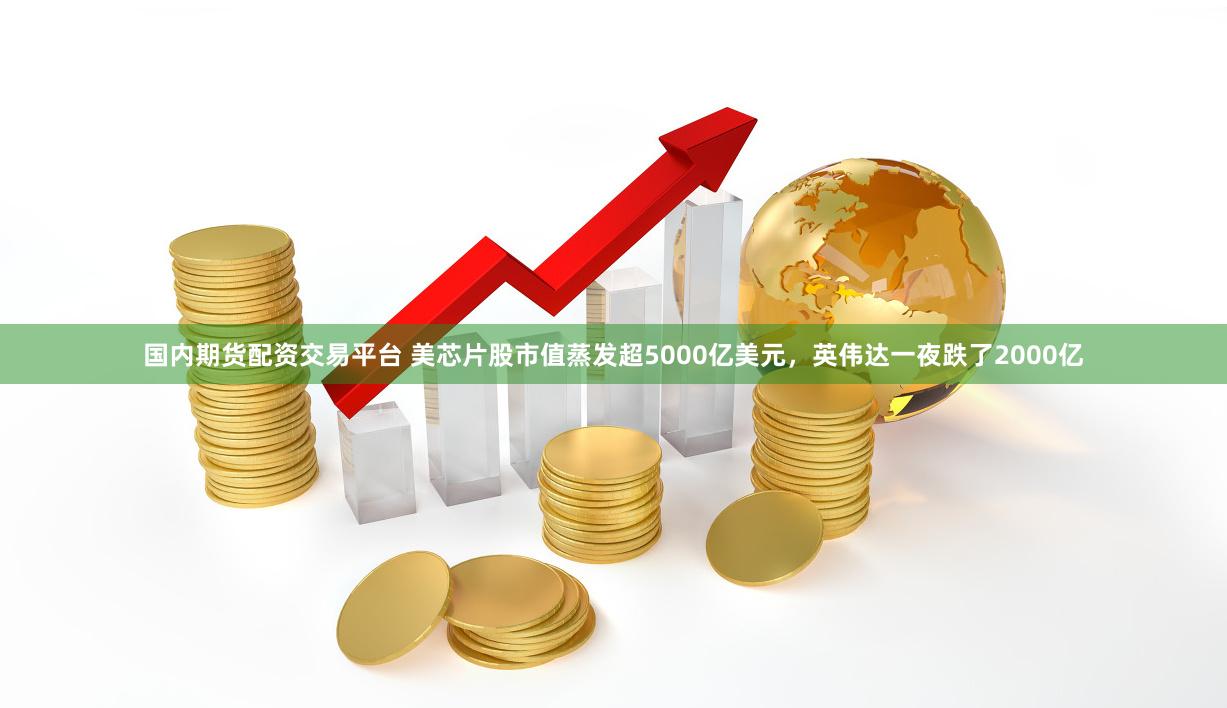 国内期货配资交易平台 美芯片股市值蒸发超5000亿美元，英伟达一夜跌了2000亿