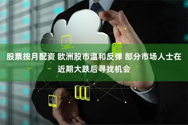 股票按月配资 欧洲股市温和反弹 部分市场人士在近期大跌后寻找机会