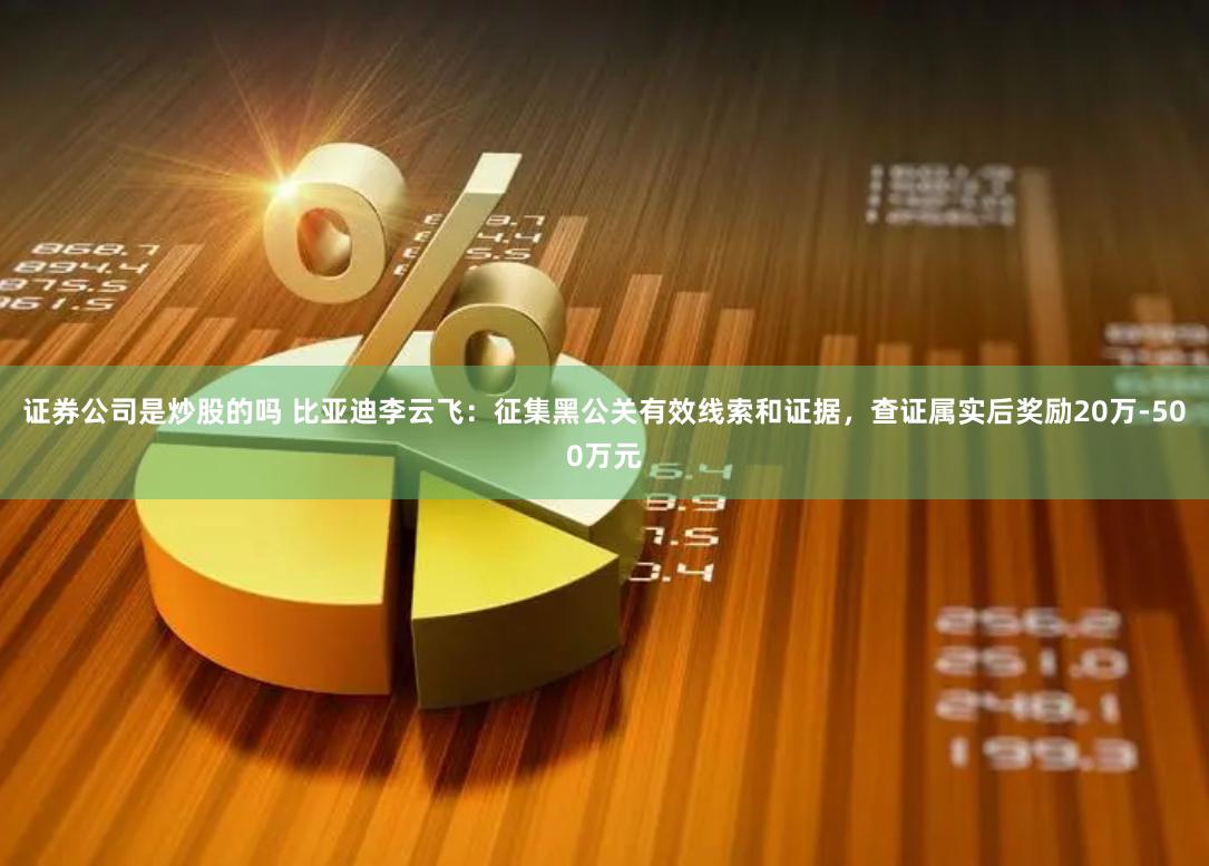 证券公司是炒股的吗 比亚迪李云飞：征集黑公关有效线索和证据，查证属实后奖励20万-500万元